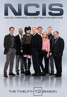 海军罪案调查处第十二季 第12集