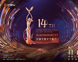 第十四届中国金鹰电视艺术节(大结局)