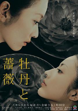 牡丹与玫瑰(全集)