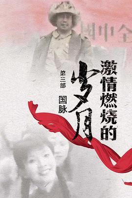 激情燃烧的岁月3 第02集